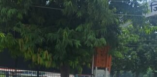 जिलाधिकारी ने रास्ते में रूक कर दिव्याग व्यक्ति की सुनी फरियाद