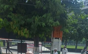 जिलाधिकारी ने रास्ते में रूक कर दिव्याग व्यक्ति की सुनी फरियाद