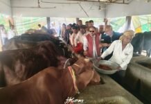 गो सेवा आयोग उपाध्यक्ष अतुल सिंह द्वारा जनपद के विभिन्न गो आश्रय स्थलो का किया गया स्थलीय निरीक्षण