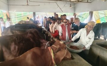 गो सेवा आयोग उपाध्यक्ष अतुल सिंह द्वारा जनपद के विभिन्न गो आश्रय स्थलो का किया गया स्थलीय निरीक्षण
