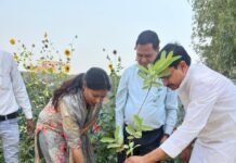 पृथ्वी दिवस पर जेपी फार्मेसी कॉलेज में संगोष्ठी, वृक्षारोपण कर लिया हरित भविष्य का संकल्प