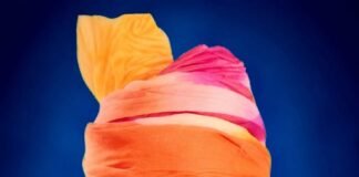 बहुमुखी प्रतिभा के धनी इन्द्रजीत ‘इंद्र’ का निधन, साहित्य जगत में शोक की लहर