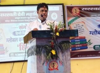हिंदी के वैश्विक विस्तार के लिए सभी क्षेत्रों में प्रयोग जरूरी : डॉ. संजय मिश्र